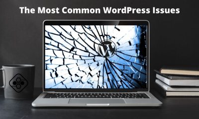 Most Common WordPress Issues