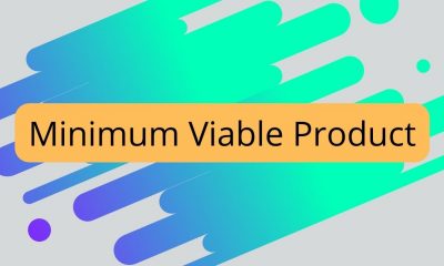 Why do Startups Need to Begin with a Minimum Viable Product?