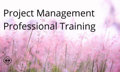 Everything You Need to Know About the Project Management Professional Training Course Offered by KnowledgeHut