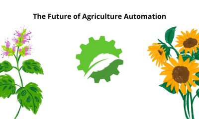 The Future of Agriculture Automation
