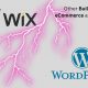 Wix vs Wordpress vs Builders: Which One is Better?
