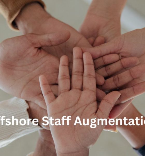 All you need to know about Offshore Staff Augmentation
