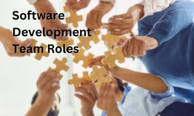 roles in your software team